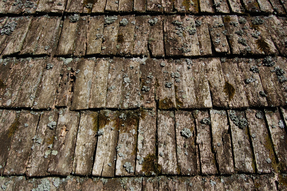 how to tell if cedar shake roof is bad